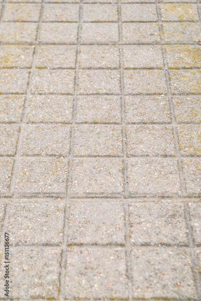 Background, texture brick tile on the whole frame. Vertical frame Background, texture brick tile on the whole frame. Vertical frame