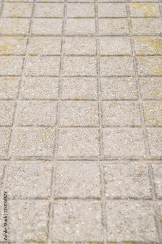 Background  texture brick tile on the whole frame. Vertical frame