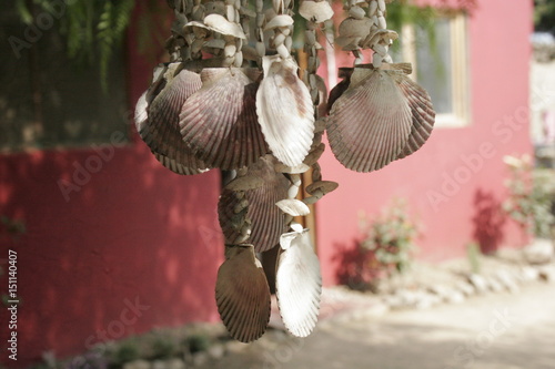 Conchas marinas