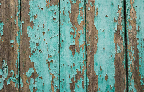 Arrière-plan: bois peint usé de couleure bleu turquoise.