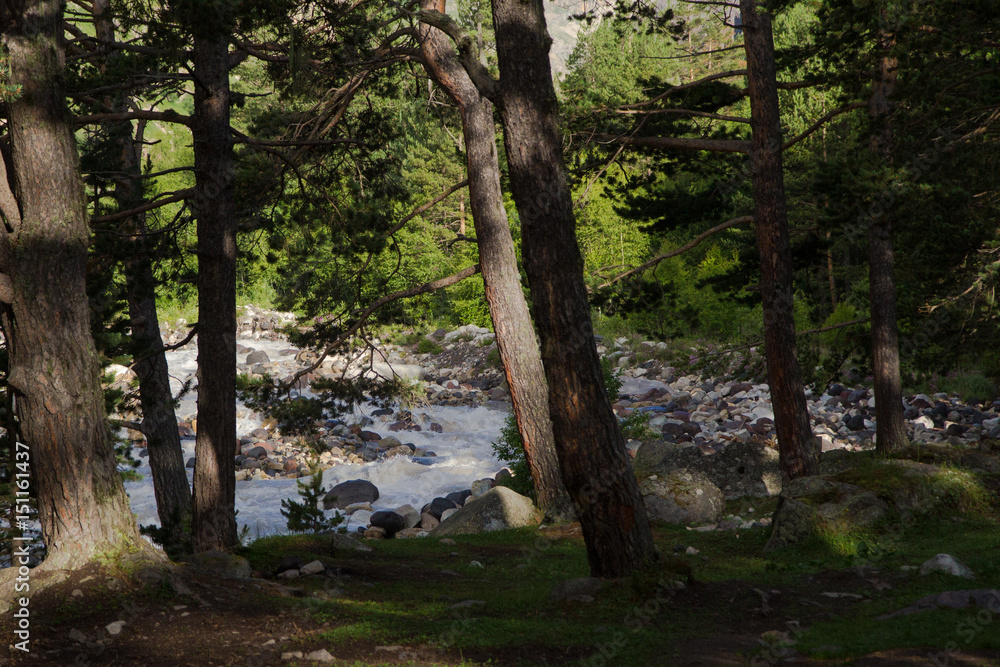 Naklejka premium Mountain river of Elbrus region