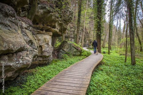 Mullerthal Trail Landscape   Petit Luxembourg Suisse Echternach  photo