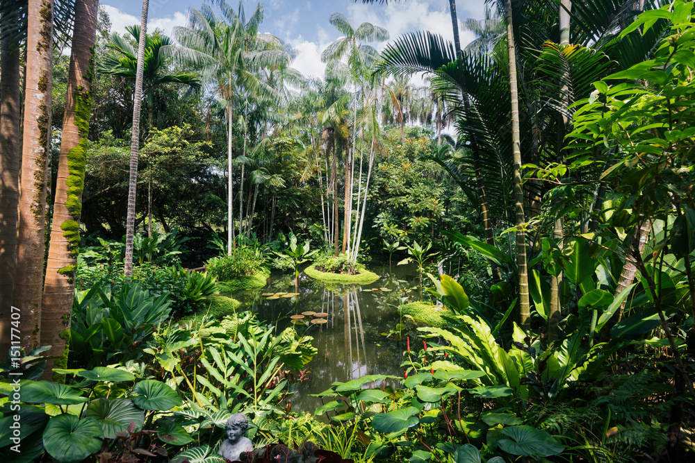Small pond in the Singapore Botanic Gardens Small pond in the Singapore Botanic Gardens