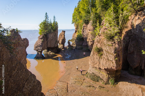 Wallpaper Mural Hopewell Rocks, Bay of Fundy Torontodigital.ca