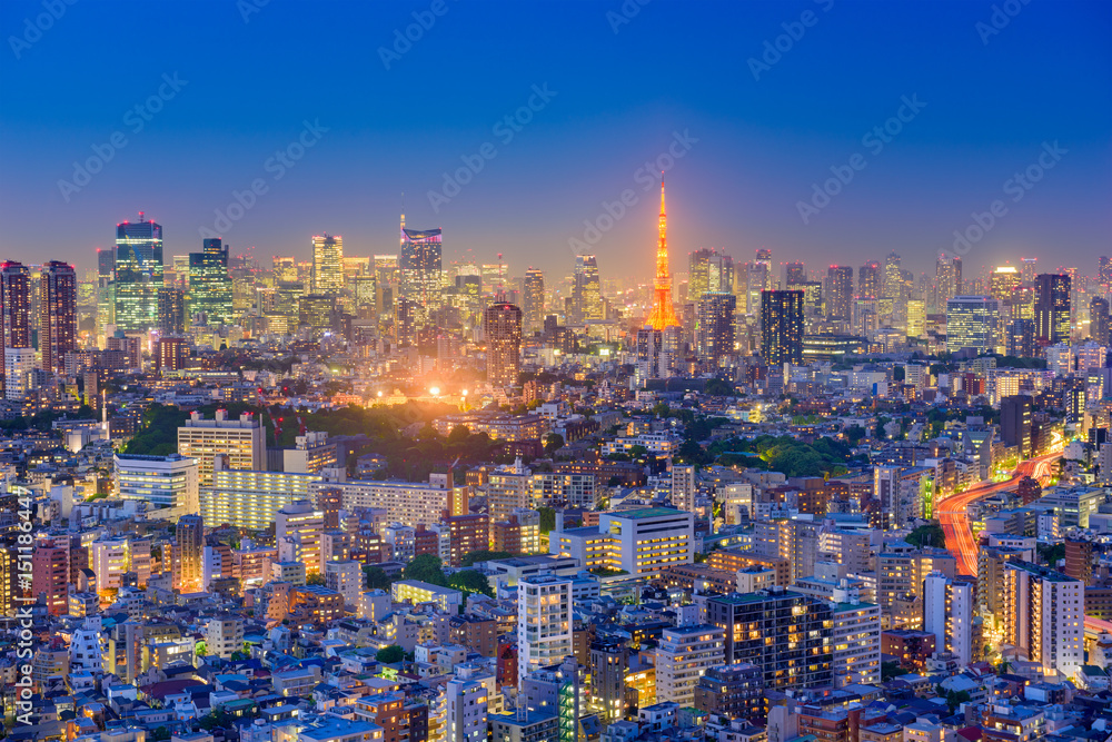 Tokyo, Japan Aerial View