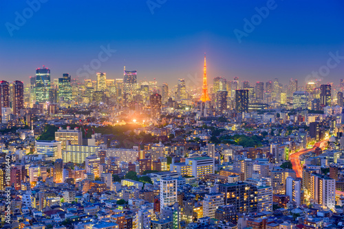 Tokyo  Japan Aerial View