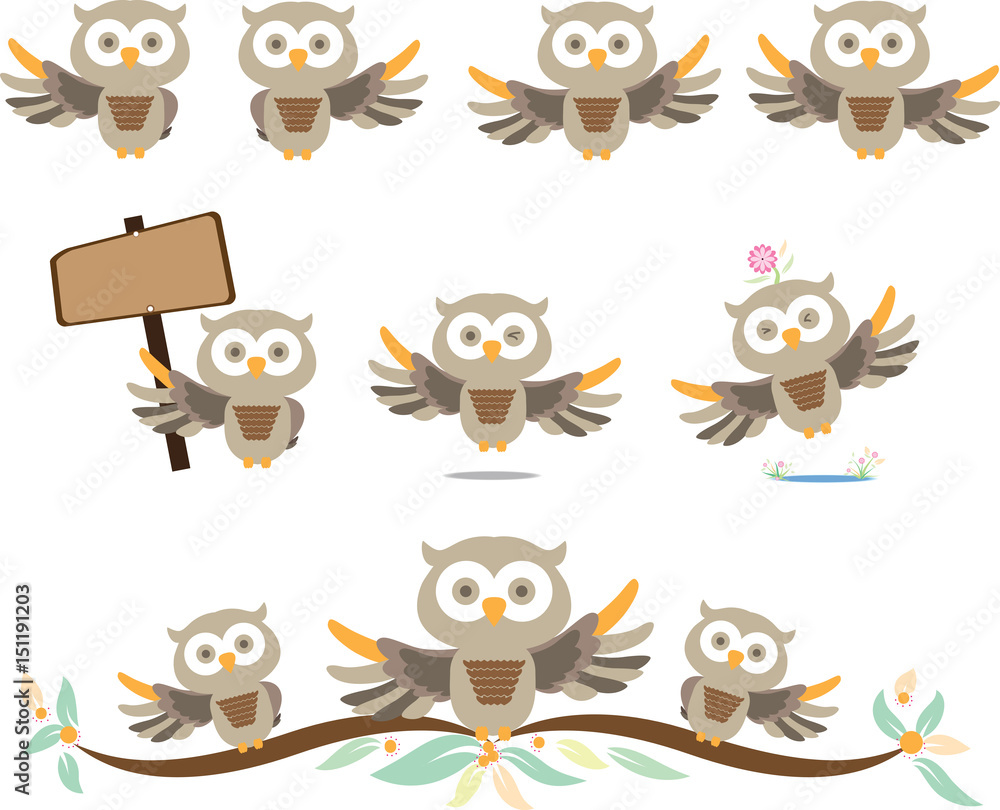 Fototapeta premium owl cute in isolate background