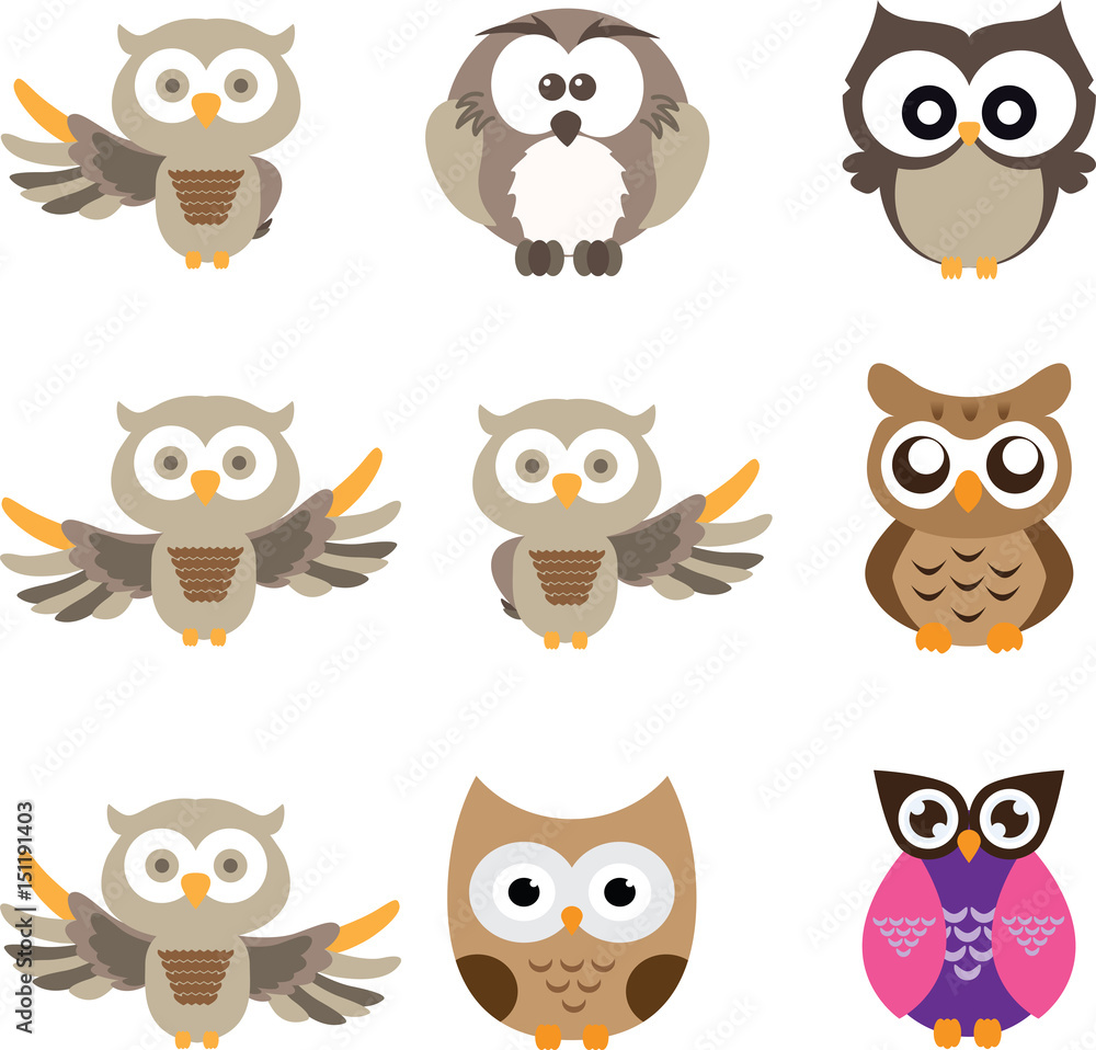owl cute in isolate background owl cute in isolate background