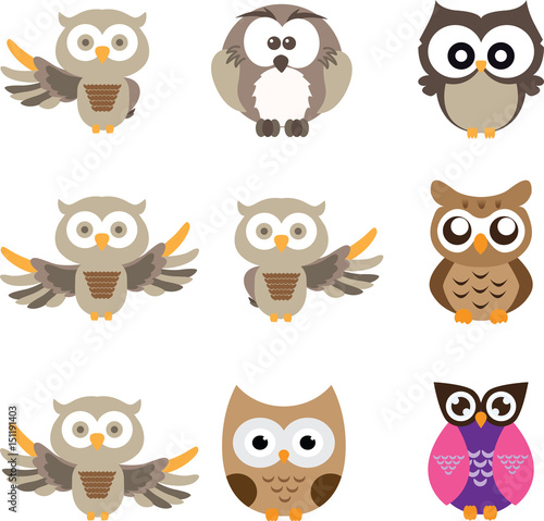 Wallpaper Mural owl cute in isolate background Torontodigital.ca