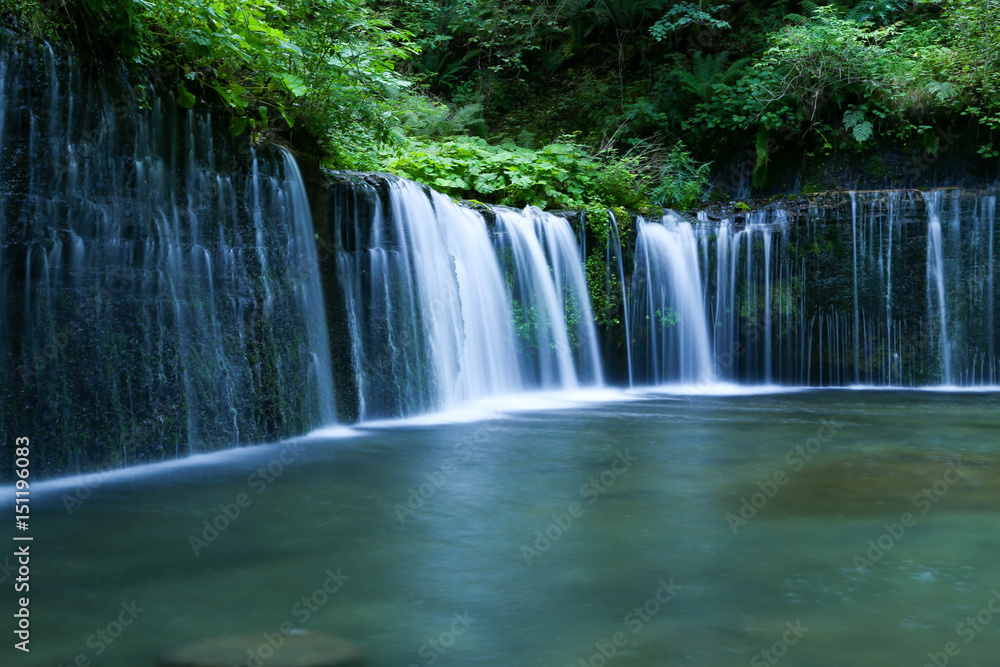Obraz premium Shiraito Falls_04