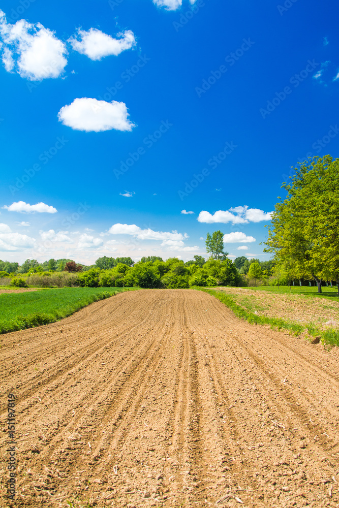 Agriculture landscape, ploughland in nature park Lonjsko Polje, Croatia, spring Agriculture landscape, ploughland in nature park Lonjsko Polje, Croatia, spring