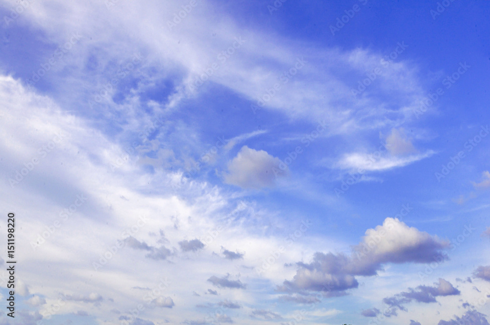 Fototapeta premium Sky / blue sky background with clouds / Sky with clouds