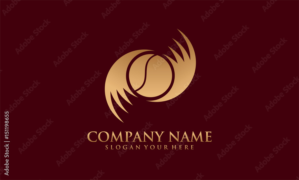 Obraz premium wings ball sport symbol