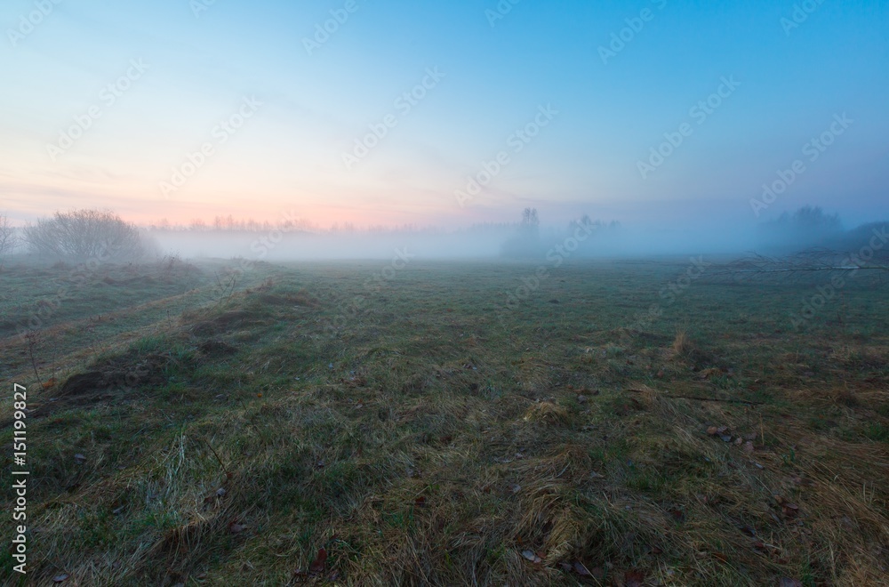 Early spring foggy meadow at sunrise