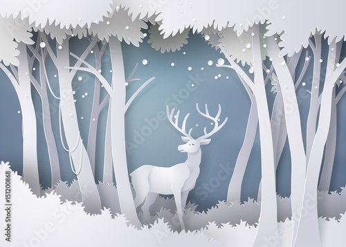 Deer in forest with snow.