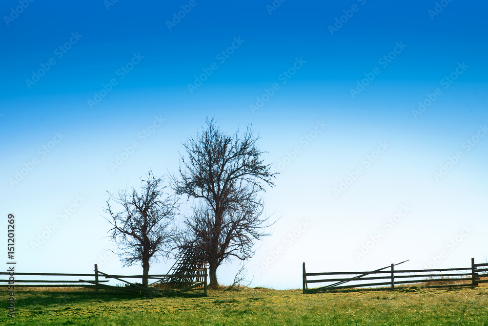 Trees silhouette in a natural mountain landscape with blue sky background. Trees silhouette in a natural mountain landscape with blue sky background.