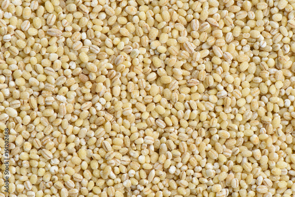 Raw barley background for cooking