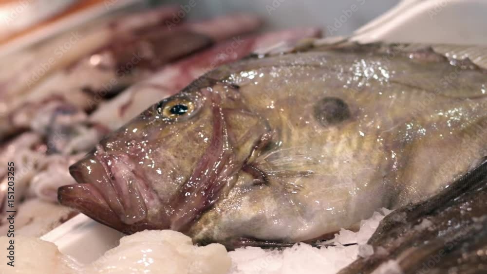 Fresh fish market video detail. Fresh fish market video detail.