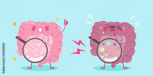 cute cartoon intestine