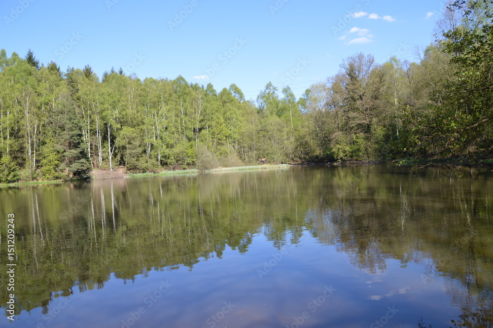 Nachmittag am See