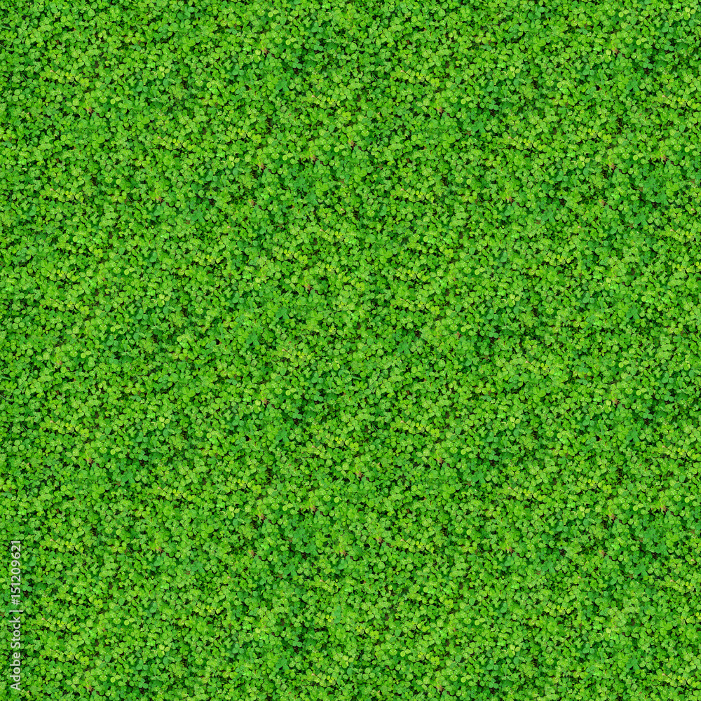 Very large natural texture with clover leaves Very large natural texture with clover leaves