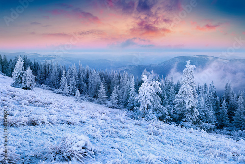 Splendid Christmas scene in the mountain forest at sunny morning © Andrew Mayovskyy