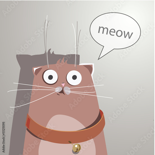 Surprised cat. Vector illustration