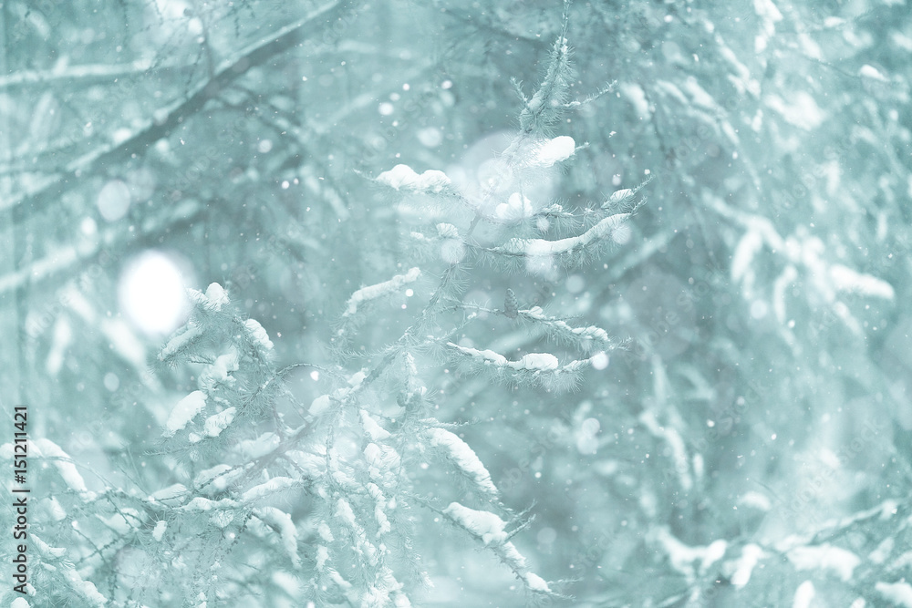 background winter forest covered with snow background winter forest covered with snow