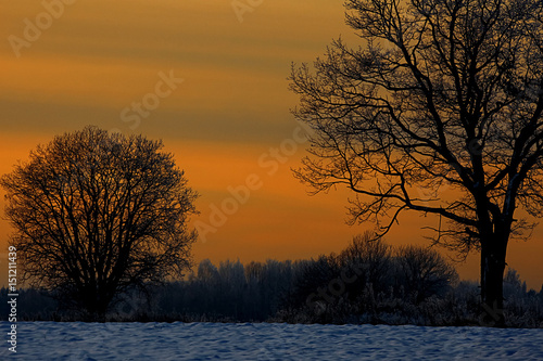 Sunset in the winter forest © kichigin19