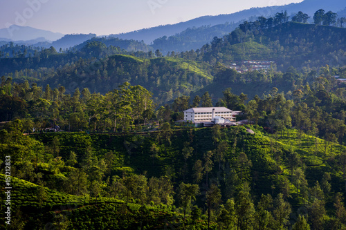 A tea factory surrounded by tea plantations in Ella, Sri Lanka