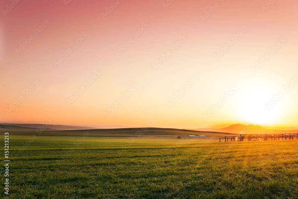 Beautiful Pink Sky Sunset Summer Wallpaper