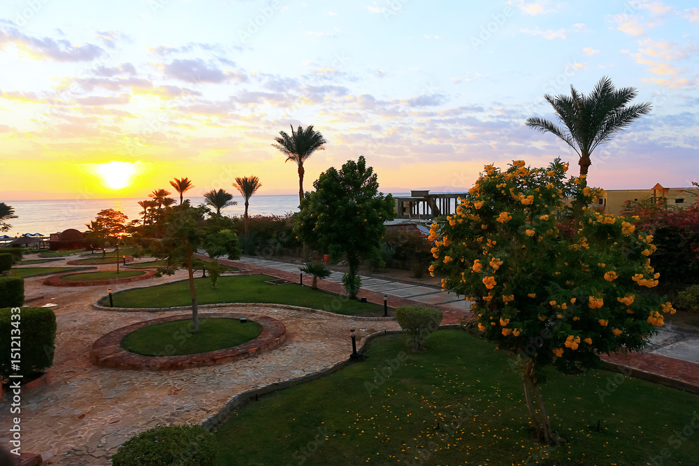 Obraz premium Palm trees at beautiful sunset