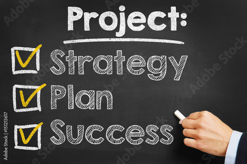 Project: Strategy Plan Success