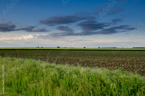 Fields nearby the town of Pliska, Bulgaria photo