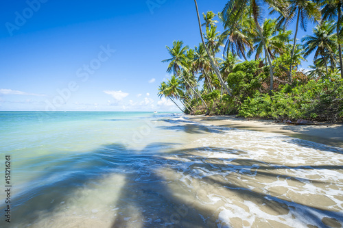 Scenic view  of a remote Brazilian beach with shadows of palm trees falling on the shore in Bahia, Brazil © lazyllama