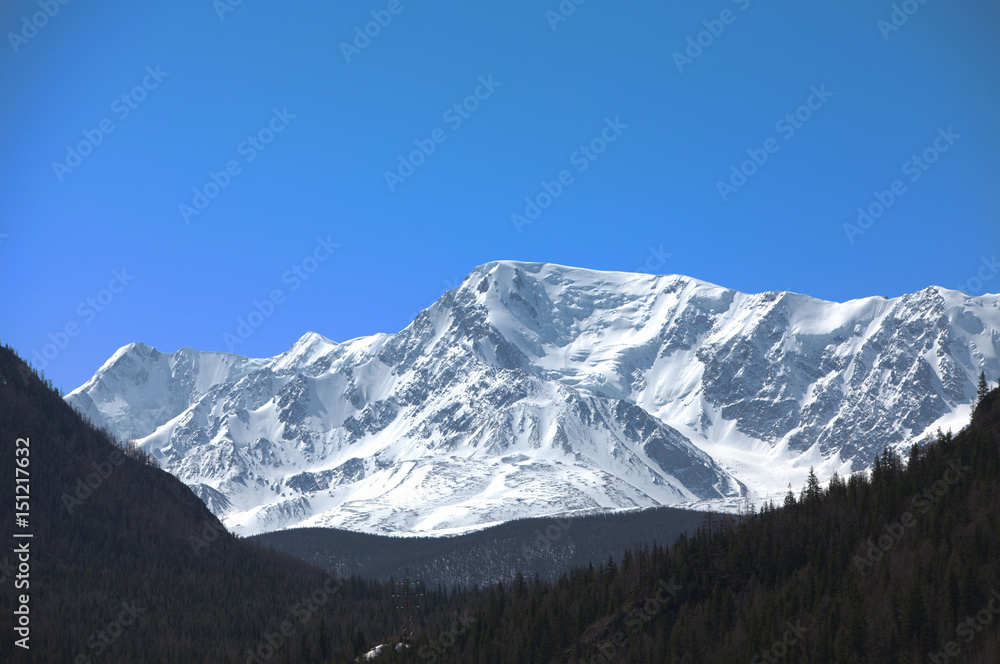 Fototapeta premium Altai mountains. Beautiful highland landscape. Russia. Siberia