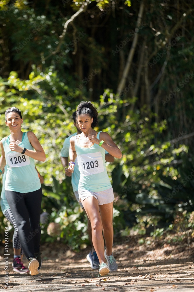 Fototapeta premium Marathon athletes running in the park