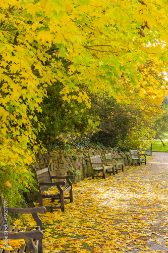 Benches and Autumn leaves in Dulwich Park, London, England, United Kingdom photo