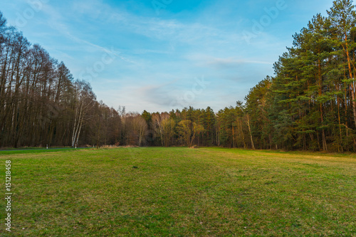 Copy space landscape of forest © Robert Herhold