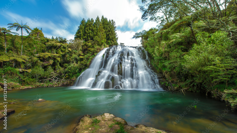 Fototapeta premium Owharoa Falls in Neuseeland (New Zealand)