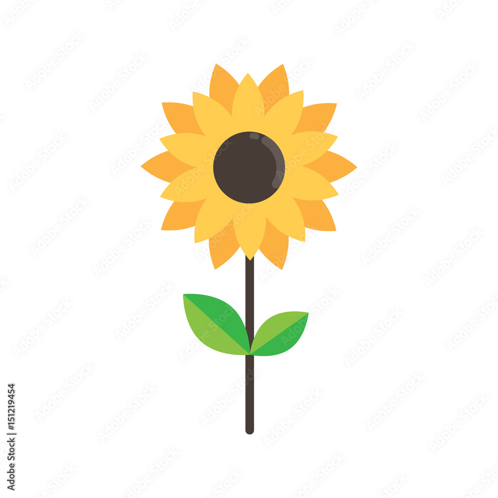 cartoon cute sunflower on a white background Stock Vector | Adobe Stock