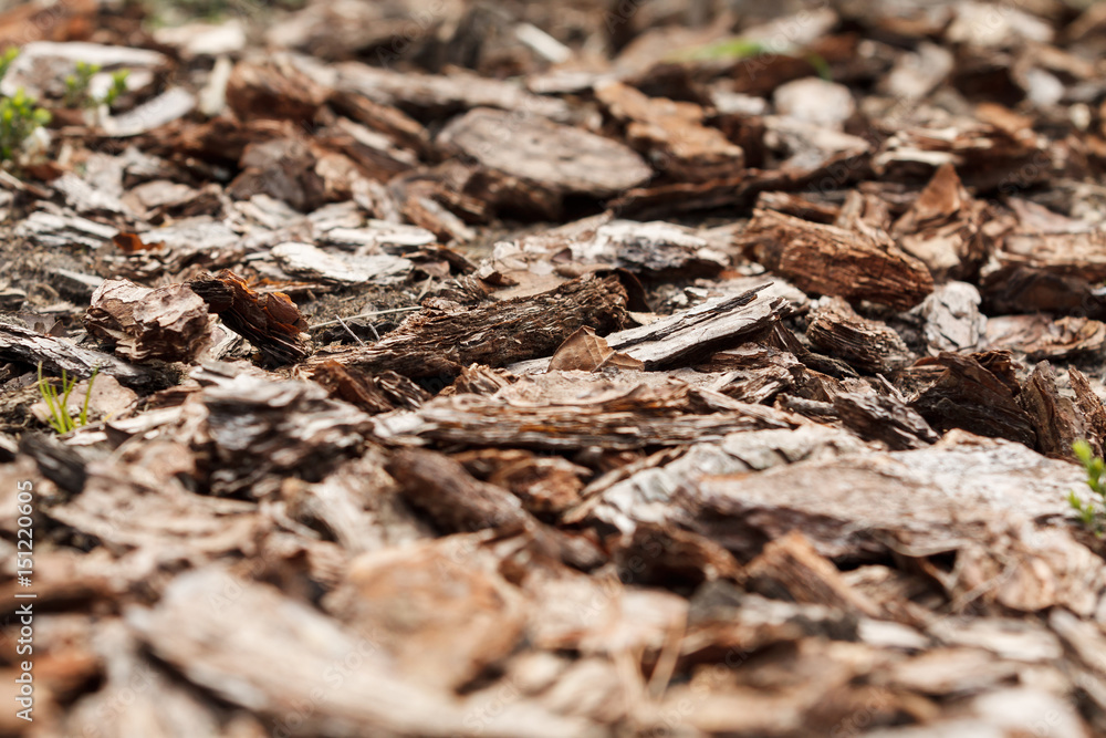 Crushed tree bark texture background closeup. Shredded brown tree bark for decoration and mulching or for playground. Crushed tree bark texture background closeup. Shredded brown tree bark for decoration and mulching or for playground.