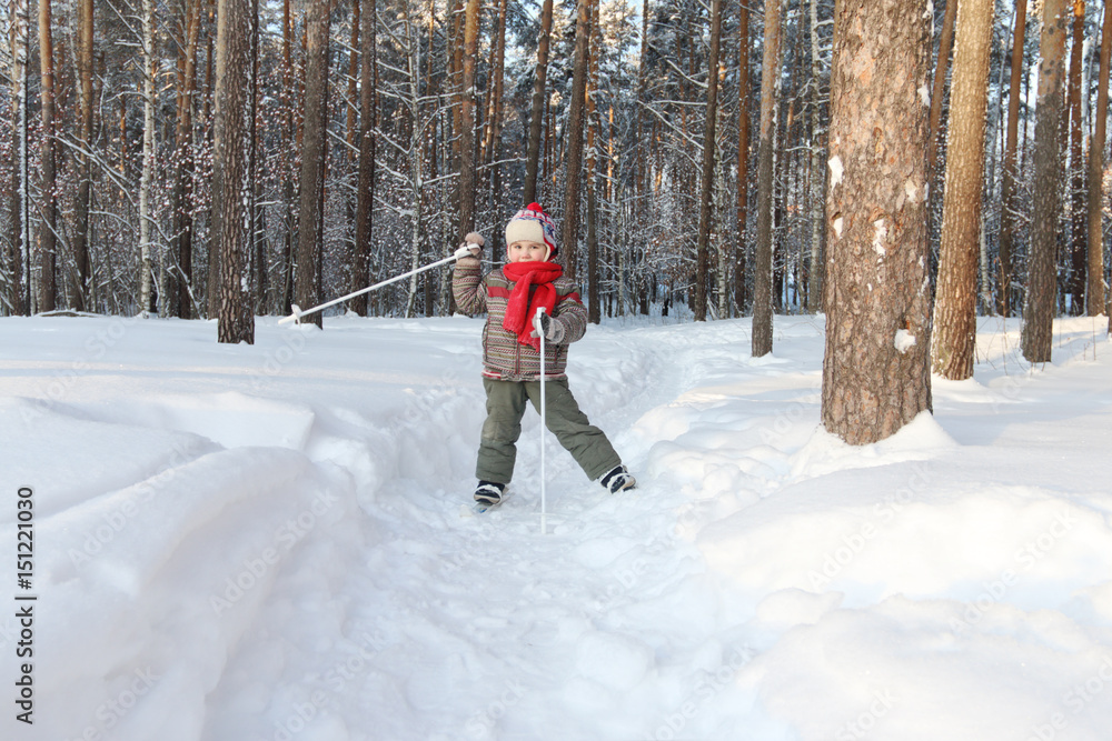 Happy handsome little boy with red scarf poses on ski in forest at sunny day