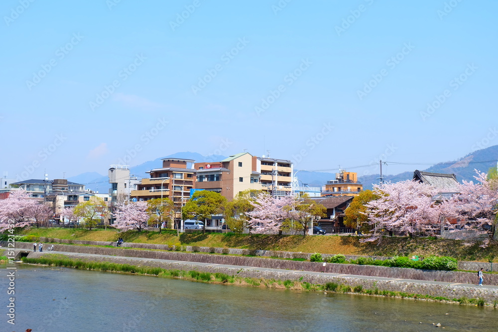 京都鴨川の風景