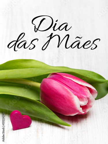 Mother's day card with Portuguese words: Happy Mother's day, and pink tulip on white wooden background.
