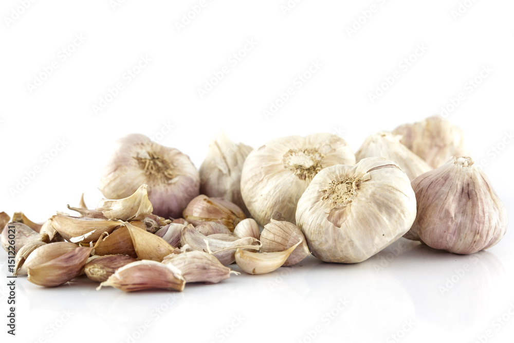 garlic on white background garlic on white background