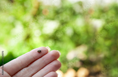 Tick on humans hand © Cherries