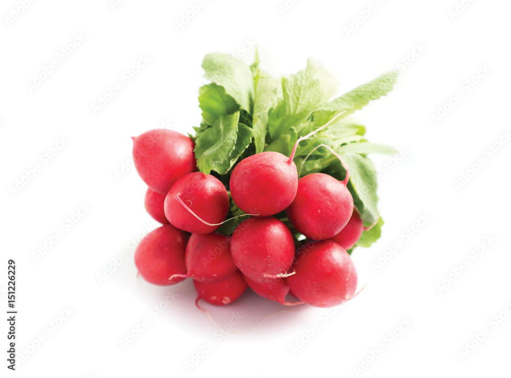 A bunch colorful delicious radishes on white background. Photo depicting fresh radish with green leaves isolated on a white, with natural shade. A bunch colorful delicious radishes on white background. Photo depicting fresh radish with green leaves isolated on a white, with natural shade.