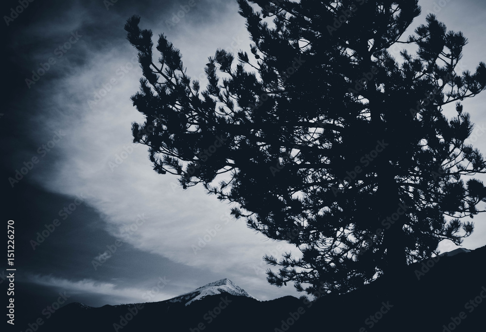 Fototapeta premium Photo depicting a beautiful moody landscape European alpine mountains with snow peaks on a clody sky background. Black and white.