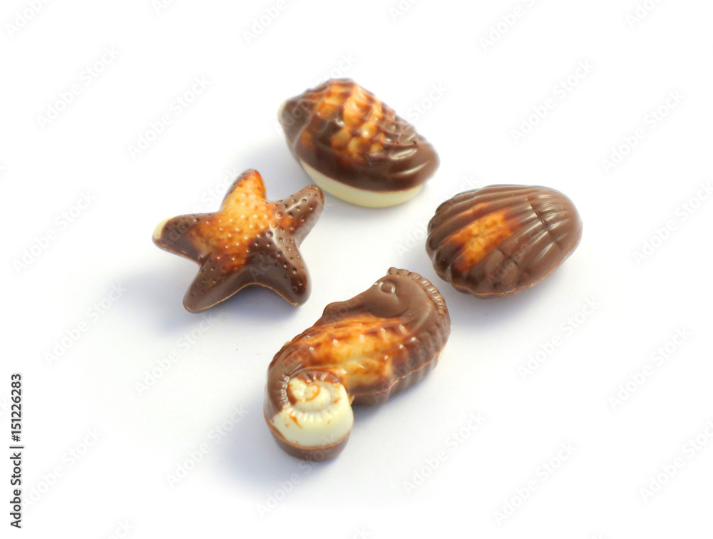 Set of delicious praline chocolate, macro view, closeup. Photo depicting the assortment of Belgian chocolate pralines sweet candies. Seashell, sea star, sea horse. Set of delicious praline chocolate, macro view, closeup. Photo depicting the assortment of Belgian chocolate pralines sweet candies. Seashell, sea star, sea horse.